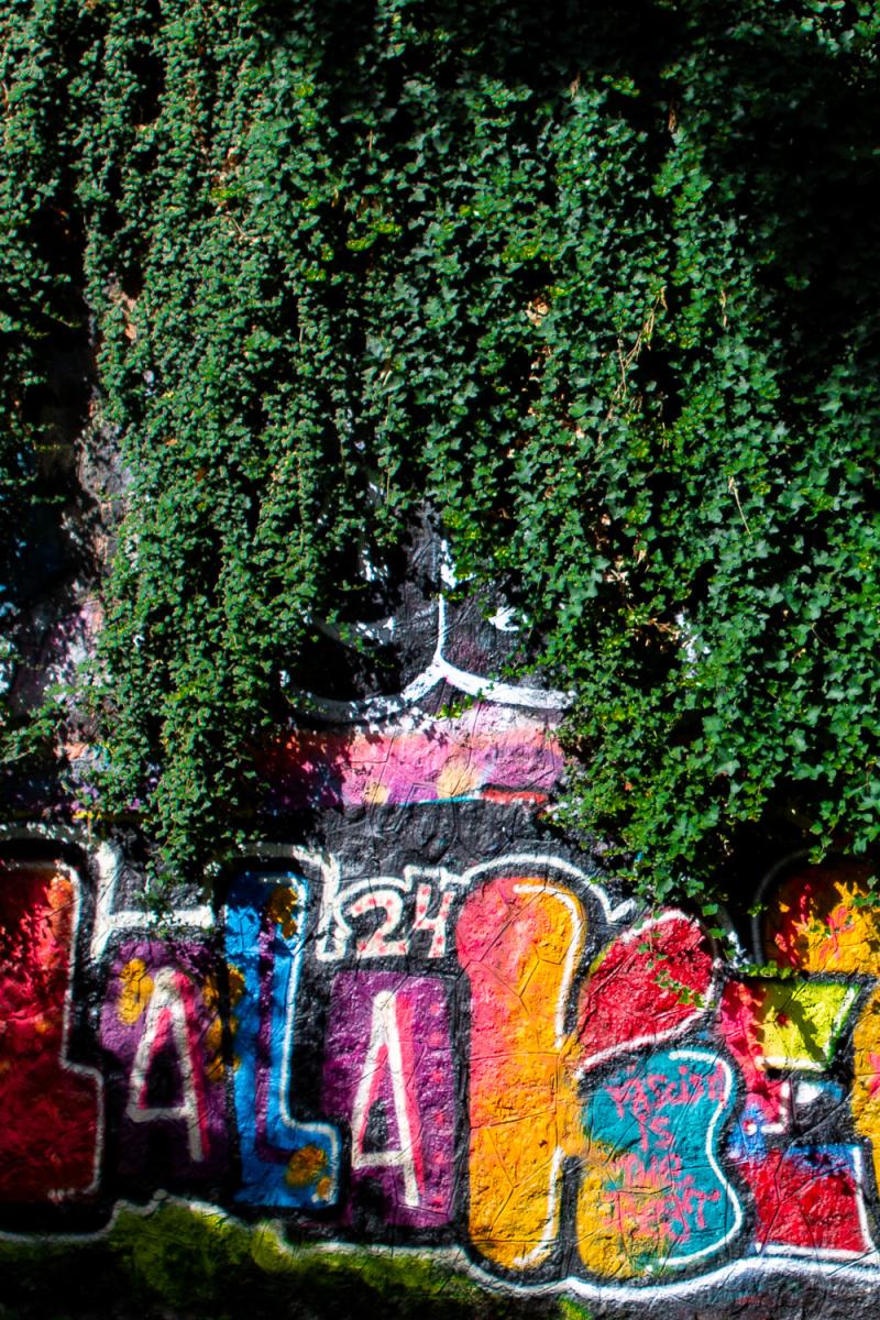 Sur la petite ceinture